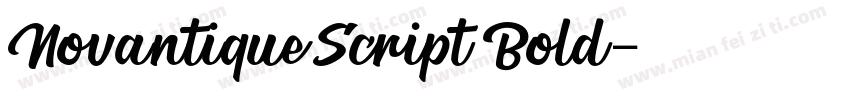 NovantiqueScript Bold字体转换
